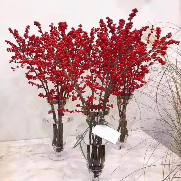 相思豆盆栽怎么养殖