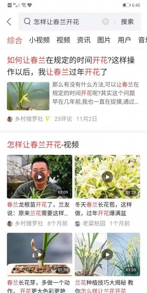 野生兰花怎么在家养才能开花多