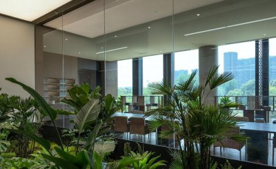适合办公室的大型盆栽有哪些 女性办公桌适合养的花