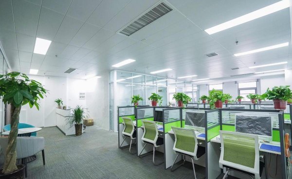 适合办公室的大型盆栽有哪些