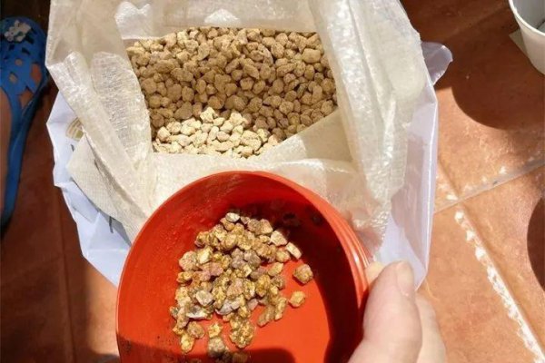 养多肉用什么土比较好