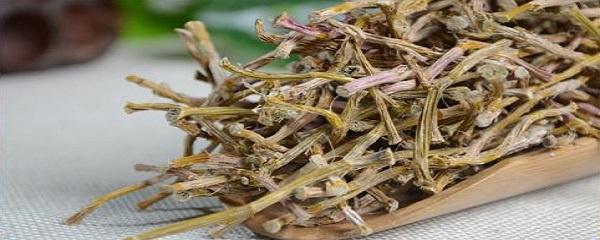 铁皮石斛的栽培方法和管理