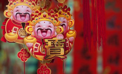 红果冬青树有什么寓意 冬青树简介及种植方法