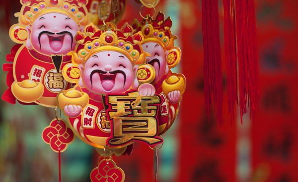 红果冬青树有什么寓意