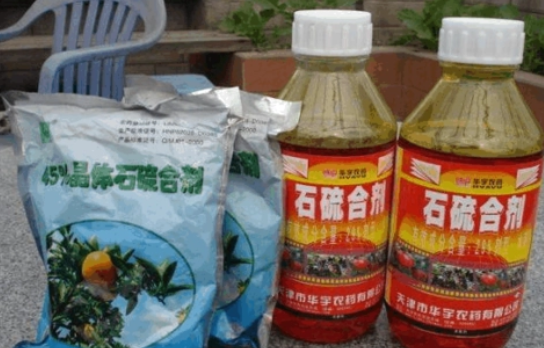 早春可以用石硫合剂吗？