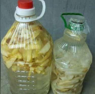 这3种自制有机肥趁现在做