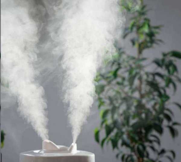 快要死的花用这种方法能够救过来