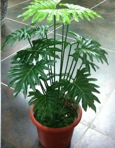 别让你的忽冷忽热