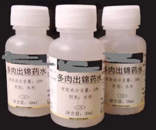 这些漂亮的多肉白送都别要
