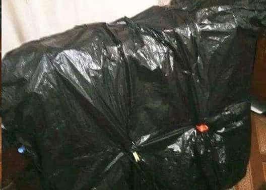 长寿花蟹爪兰花后给一刀