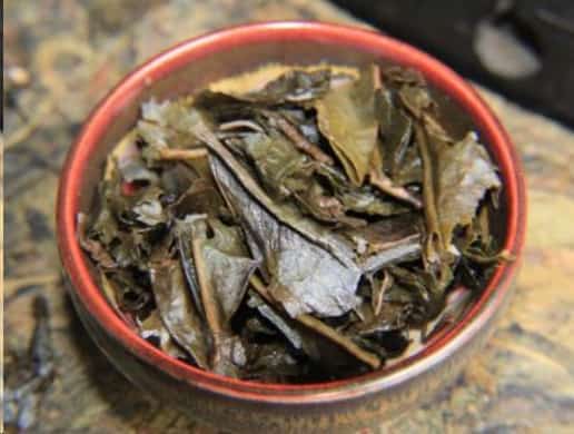 冬天自制花肥好时机