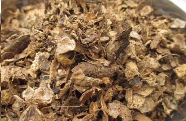 冬天自制花肥好时机