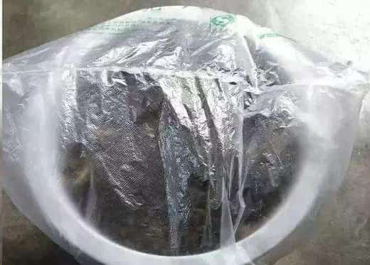 冬天绿萝幸福树萎蔫叶片长黑斑