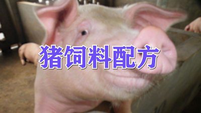 猪饲料怎么配 猪饲料配制的注意事项