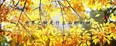 世界之树是哪种品种的树 白蜡树的生长习性
