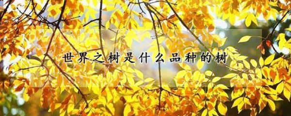 世界之树是哪种品种的树