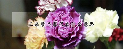 康乃馨三朵的含义 康乃馨其它数量的寓意
