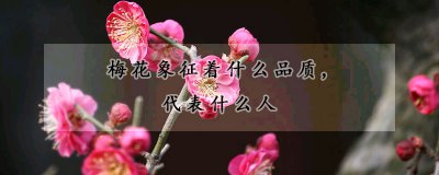 梅花象征着什么品质 梅花的象征品质和代表人群