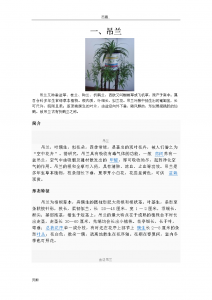 吊兰的花语 吊兰的寓意