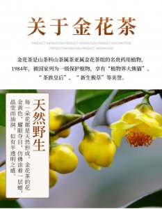 金花茶如何养护 金花茶的养护技巧