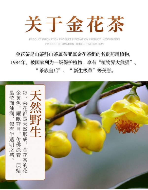 金花茶如何养护
