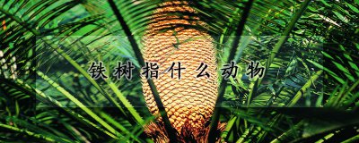 铁树指哪种动物 铁树的形态特征