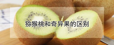 猕猴桃和奇异果有什么区别 猕猴桃与奇异果有何不同？
