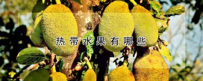 热带水果有什么品种 热带水果有哪些种类？