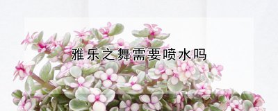雅乐之舞可以喷水吗 雅乐之舞是否有喷水表演？