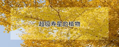 超级寿星的植物有哪些 长寿植物的种类有哪些