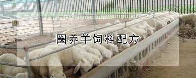 圈养羊饲料怎么配制 如何调配围养羊的日粮？