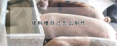 猪料槽如何制作 猪料槽消毒方法
