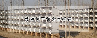 养殖兔子兔舍怎样建 兔舍建设技巧与方法