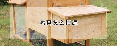 鸡窝怎么搭建 如何建造鸡舍