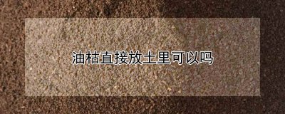 油枯可以直接放土里吗 油干可以直接埋入土壤吗？