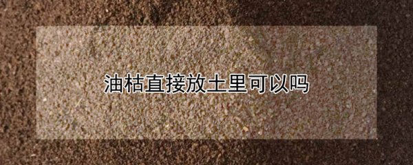 油枯可以直接放土里吗