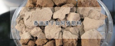 香油渣子怎么做肥料 如何利用香油渣制作肥料