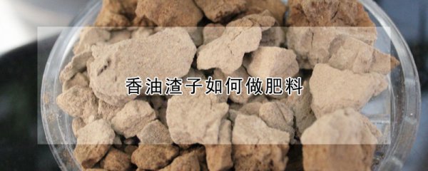 香油渣子怎么做肥料