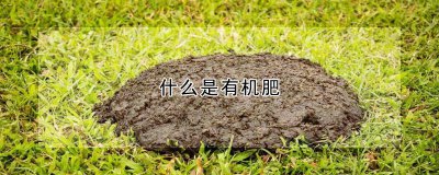 有机肥是什么肥料 有机肥的作用功效