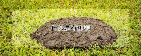 有机肥的作用功效