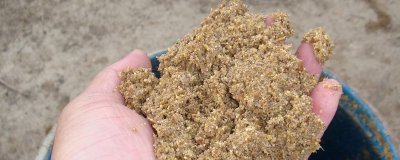 豆渣可以做花肥吗 豆渣适合作为植物肥料吗？