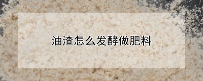 油渣如何发酵做肥料 利用油渣进行发酵制作肥料