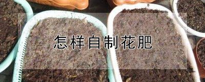 怎样自制花肥 用以制作花肥
自家制作花肥的方法