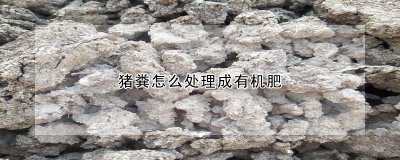 猪粪如何变成有机肥 猪粪转化为有机肥的过程