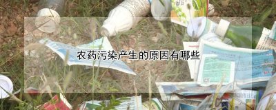 农药为什么产生污染 农药为何会造成污染？