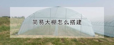 简易大棚如何搭建 如何简易搭建大棚
简易方法搭建大棚