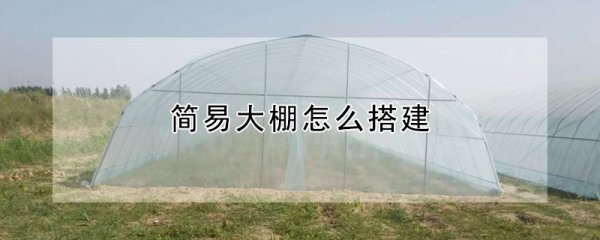简易大棚如何搭建
