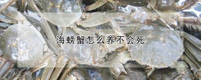 海螃蟹如何养殖不会死 如何科学养殖海螃蟹避免死亡