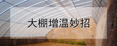 大棚增温妙招 大棚增温的巧妙方法
大棚保暖的妙招