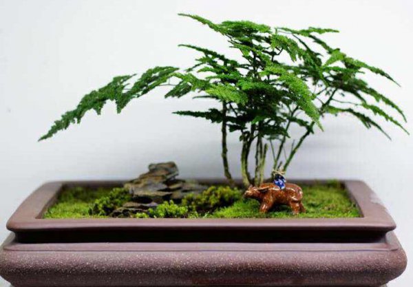 摆放在不同的位置有着不同的含义